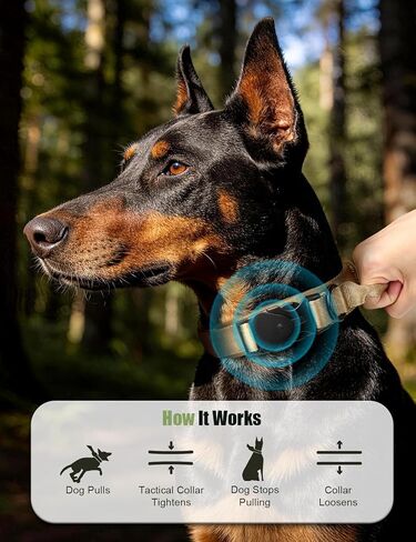 طوق الكلاب التكتيكي GPS (iOS فقط)، جهاز تعقب الكلاب GPS صغير يعمل بالبلوتوث، جهاز تعقب GPS للحيوانات الأليفة بدون رسوم شهرية، متوافق مع Apple Find My، Anti-Lost، Finder Tag for Kitten Puppy Khaki M (15 بوصة - 18.5 بوصة) in Kuwait