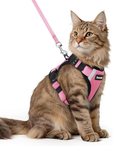 Dooradar Cat Harness and Leash Set, Escape Proof Soft with 3 Adjustable Buckles, Comfortable Vest Easy to Wear Kitten Harness with Reflective Strip, Safe for Outdoor Walking, Black, S in Saudi Arabia