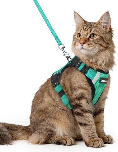 Dooradar Cat Harness and Leash Set, Escape Proof Soft with 3 Adjustable Buckles, Comfortable Vest Easy to Wear Kitten Harness with Reflective Strip, Safe for Outdoor Walking, Black, S in Saudi Arabia