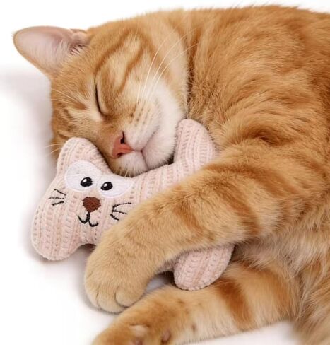 2 Pack Kitten Stuffed Animal Cat Toy with Kittens Soft Plush Chew Toy with Catnip for Cats Interactive Play in Kuwait