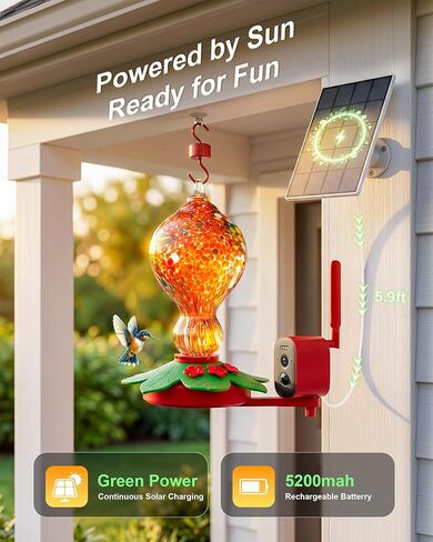 Hummingbird Feeder with Camera – 2.5K 5MP Solar-Powered Glass Bottle Smart Humming Bird Feeder with AI Recognition, Upgraded Leak-Proof & Ant Moat, Instant Alerts, Works with Alexa & Google Assistant in Kuwait