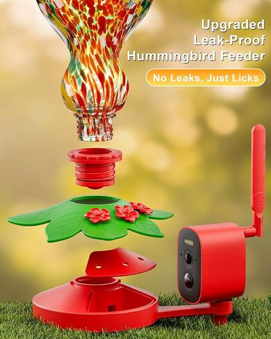 Hummingbird Feeder with Camera – 2.5K 5MP Solar-Powered Glass Bottle Smart Humming Bird Feeder with AI Recognition, Upgraded Leak-Proof & Ant Moat, Instant Alerts, Works with Alexa & Google Assistant in Kuwait