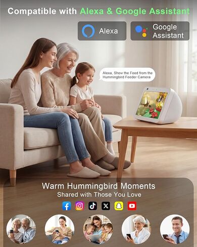 Hummingbird Feeder with Camera – 2.5K 5MP Solar-Powered Glass Bottle Smart Humming Bird Feeder with AI Recognition, Upgraded Leak-Proof & Ant Moat, Instant Alerts, Works with Alexa & Google Assistant in Kuwait