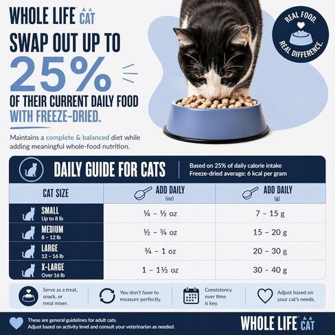 Whole Life Cat Just One Shrimp Freeze Dried Cat Treats - Human Grade High Protein Food, Healthy Training Snacks, Freeze Dried Shrimp Food Toppers, USA Made Natural Treats - .7 oz (Pack of 1) in Saudi Arabia
