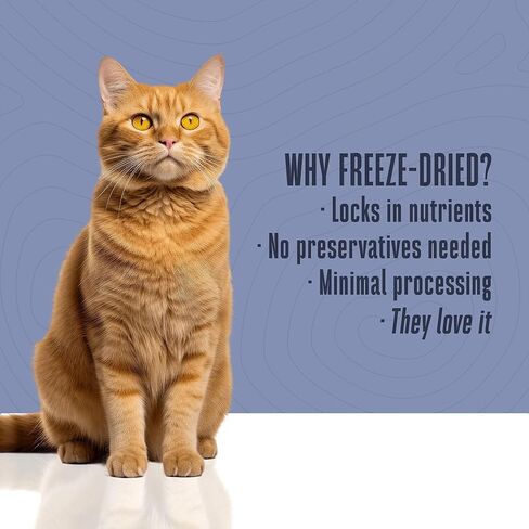 Whole Life Cat Just One Shrimp Freeze Dried Cat Treats - Human Grade High Protein Food, Healthy Training Snacks, Freeze Dried Shrimp Food Toppers, USA Made Natural Treats - .7 oz (Pack of 1) in Saudi Arabia