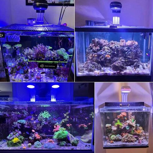 PopBloom RL60 WiFi Reef LED Light، 60W Full Spectrum Marine Reef LED إضاءة حوض السمك للشعاب المرجانية الناعمة / LPS وخزانات نانو لأسماك المياه المالحة، مؤقت مدمج، هاتف WiFi قابل للبرمجة، غروب الشمس شروق الشمس in Kuwait