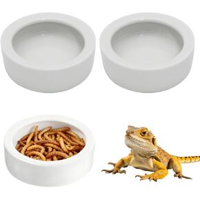 Escape-Proof Reptile Food Dish Bowl, Ceramic Reptile Feeding Dish & Small Animal Bowl for Lizard, Leopard Gecko, Hermit Crab, Hamster, Anti Escape Live Food & Water Dish (3x1in) 2PCS in Saudi Arabia