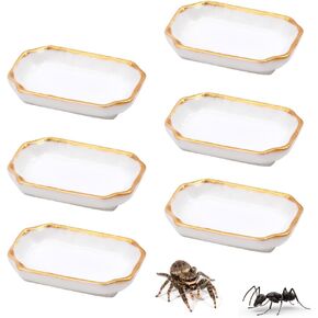 6 Pcs Ant Mini Feeding Dish Cricket Plastic Eating Basin for Ant Scorpion Cricket Snail Crab Manti Millipede Small Insects in Kuwait