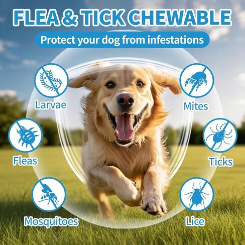 Flea and Tick Prevention for Dogs Chewables 200Ct - Flea and Tick Chews Supplement, Vet Recommended Supplement Chews, Skin & Coat Support for Dogs, Puppies, All Breeds & Sizes in Kuwait
