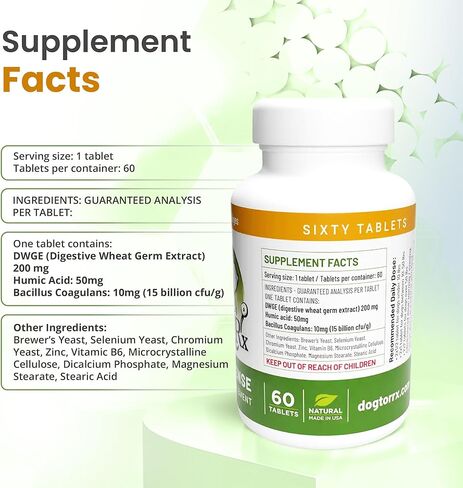 DogtorRx Gut Defense Natural Supplement for Dogs, 60 Chewable Tablets, Digestive Health Support with Prebiotics and Probiotics for All Ages in Kuwait