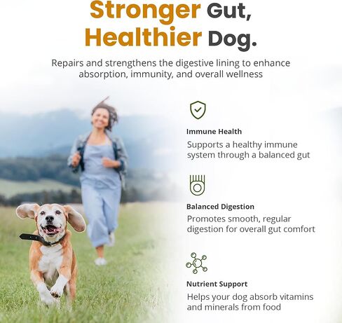 DogtorRx Gut Defense Natural Supplement for Dogs, 60 Chewable Tablets, Digestive Health Support with Prebiotics and Probiotics for All Ages in Kuwait