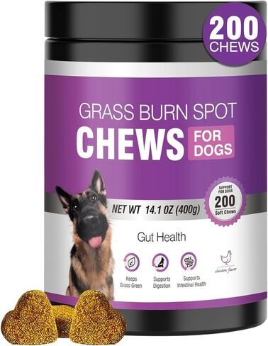 Grass Burn Spot Chews for Dogs Dog Pee Grass Neutralizer 200 Green Grass Dog Chews Urine Lawn Spot Protector Urinary Tract Support Dog Bladder Support Cranberry, Apple Cider Vinegar, DL-Methionine in Kuwait