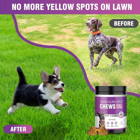 Grass Burn Spot Chews for Dogs Dog Pee Grass Neutralizer 200 Green Grass Dog Chews Urine Lawn Spot Protector Urinary Tract Support Dog Bladder Support Cranberry, Apple Cider Vinegar, DL-Methionine in Kuwait
