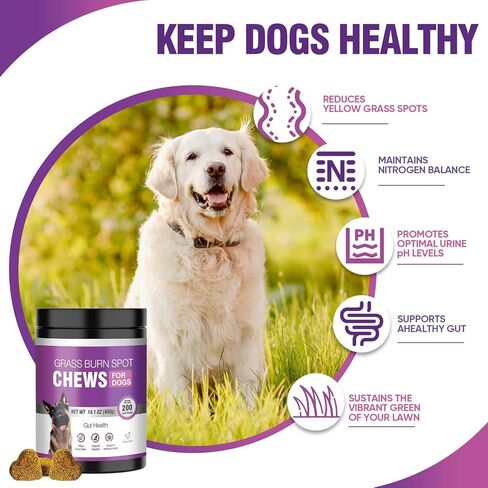 Grass Burn Spot Chews for Dogs Dog Pee Grass Neutralizer 200 Green Grass Dog Chews Urine Lawn Spot Protector Urinary Tract Support Dog Bladder Support Cranberry, Apple Cider Vinegar, DL-Methionine in Kuwait