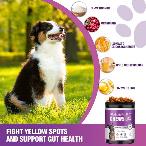 Grass Burn Spot Chews for Dogs Dog Pee Grass Neutralizer 200 Green Grass Dog Chews Urine Lawn Spot Protector Urinary Tract Support Dog Bladder Support Cranberry, Apple Cider Vinegar, DL-Methionine in Kuwait