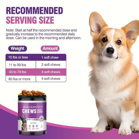 Grass Burn Spot Chews for Dogs Dog Pee Grass Neutralizer 200 Green Grass Dog Chews Urine Lawn Spot Protector Urinary Tract Support Dog Bladder Support Cranberry, Apple Cider Vinegar, DL-Methionine in Kuwait