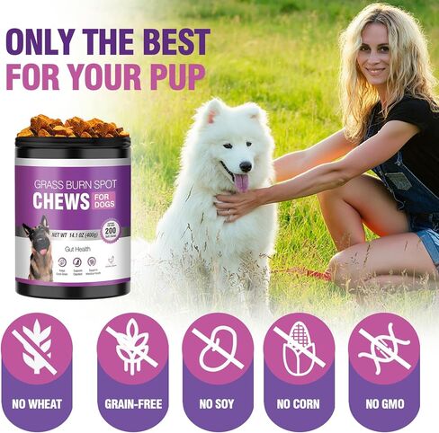 Grass Burn Spot Chews for Dogs Dog Pee Grass Neutralizer 200 Green Grass Dog Chews Urine Lawn Spot Protector Urinary Tract Support Dog Bladder Support Cranberry, Apple Cider Vinegar, DL-Methionine in Kuwait