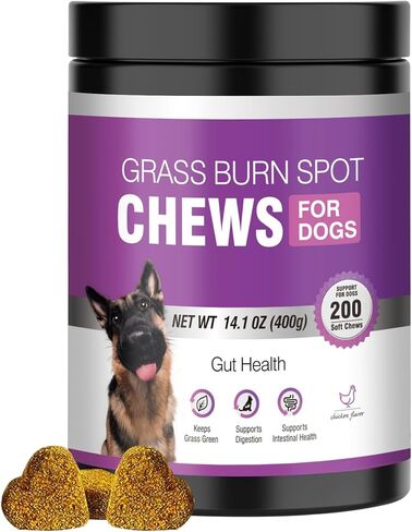 Grass Burn Spot Chews for Dogs Dog Pee Grass Neutralizer 200 Green Grass Dog Chews Urine Lawn Spot Protector Urinary Tract Support Dog Bladder Support Cranberry, Apple Cider Vinegar, DL-Methionine in Kuwait