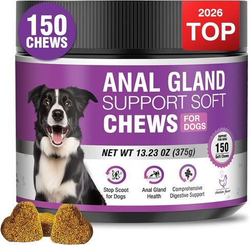 Dog Anal Gland Soft Chews 150 Stop Scoot for Dogs Supports Anal Gland Bowel Function Digestive Health Fiber Pumpkin Supplement for Dogs Pet Diarrhea Bowel Support Probiotics Digestive (Chicken Flavor) in Kuwait