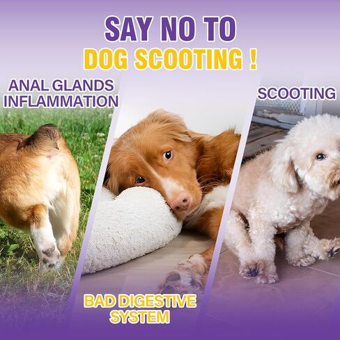 Dog Anal Gland Soft Chews 150 Stop Scoot for Dogs Supports Anal Gland Bowel Function Digestive Health Fiber Pumpkin Supplement for Dogs Pet Diarrhea Bowel Support Probiotics Digestive (Chicken Flavor) in Kuwait