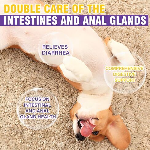 Dog Anal Gland Soft Chews 150 Stop Scoot for Dogs Supports Anal Gland Bowel Function Digestive Health Fiber Pumpkin Supplement for Dogs Pet Diarrhea Bowel Support Probiotics Digestive (Chicken Flavor) in Kuwait