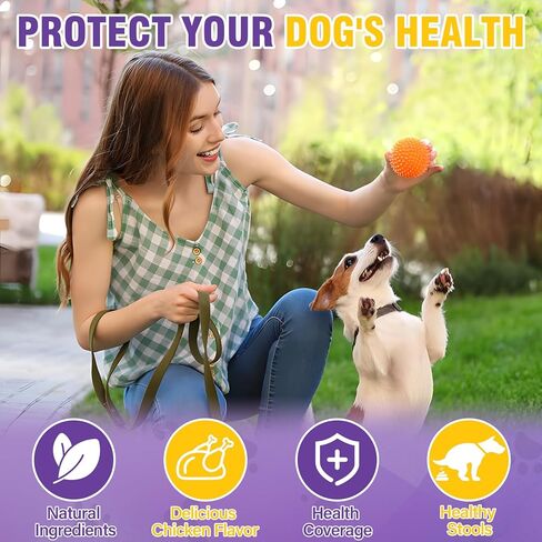 Dog Anal Gland Soft Chews 150 Stop Scoot for Dogs Supports Anal Gland Bowel Function Digestive Health Fiber Pumpkin Supplement for Dogs Pet Diarrhea Bowel Support Probiotics Digestive (Chicken Flavor) in Kuwait