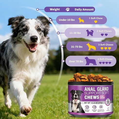 Dog Anal Gland Soft Chews 150 Stop Scoot for Dogs Supports Anal Gland Bowel Function Digestive Health Fiber Pumpkin Supplement for Dogs Pet Diarrhea Bowel Support Probiotics Digestive (Chicken Flavor) in Kuwait