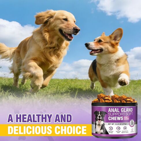 Dog Anal Gland Soft Chews 150 Stop Scoot for Dogs Supports Anal Gland Bowel Function Digestive Health Fiber Pumpkin Supplement for Dogs Pet Diarrhea Bowel Support Probiotics Digestive (Chicken Flavor) in Kuwait