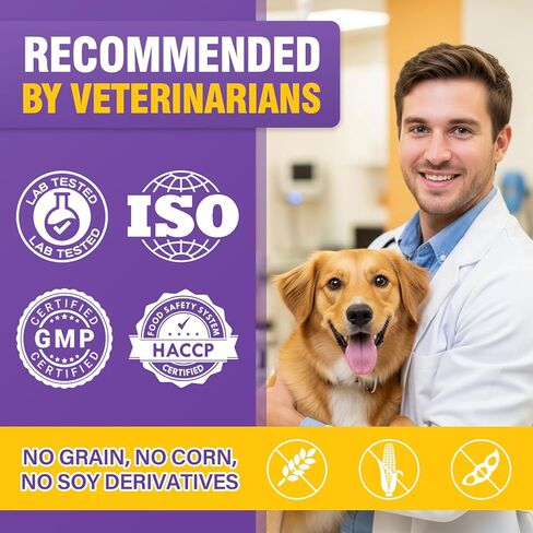 Dog Anal Gland Soft Chews 150 Stop Scoot for Dogs Supports Anal Gland Bowel Function Digestive Health Fiber Pumpkin Supplement for Dogs Pet Diarrhea Bowel Support Probiotics Digestive (Chicken Flavor) in Kuwait