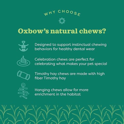 Oxbow Enriched Life Crunchy Carrot, Natural Paper Chew Toy for Rabbits, Guinea Pigs, and Hamsters, Promotes Dental Health and Foraging, Safe Enrichment Accessory, Small Pet Chew in Kuwait