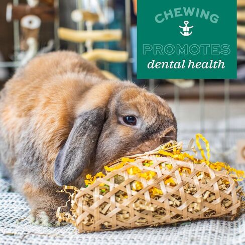Oxbow Enriched Life Crunchy Carrot, Natural Paper Chew Toy for Rabbits, Guinea Pigs, and Hamsters, Promotes Dental Health and Foraging, Safe Enrichment Accessory, Small Pet Chew in Kuwait