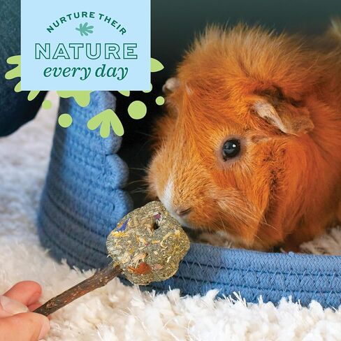 Oxbow Enriched Life Crunchy Carrot, Natural Paper Chew Toy for Rabbits, Guinea Pigs, and Hamsters, Promotes Dental Health and Foraging, Safe Enrichment Accessory, Small Pet Chew in Kuwait