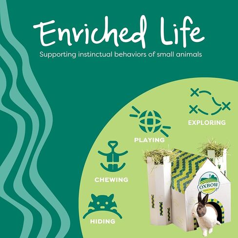 Oxbow Enriched Life Crunchy Carrot, Natural Paper Chew Toy for Rabbits, Guinea Pigs, and Hamsters, Promotes Dental Health and Foraging, Safe Enrichment Accessory, Small Pet Chew in Kuwait