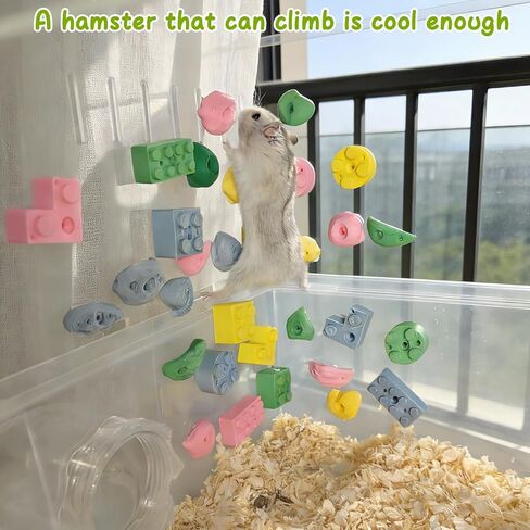 Hamster Climbing Wall Toys, DIY Colorful Rock with Traceless Adhesive, Small Animal Cage Accessories & Exercise Enrichment for Syrian, Dwarf Hamsters, Gerbils, Guinea Pigs (Random 12 pcs) in Kuwait