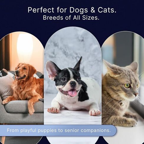 Professional Dog Nail Clippers for Large Dogs - with Safety Guard & Ergonomic Easy Grip, Dog Nail Trimmer for Large Dogs Nail Clippers and Safe Cat Nail Clippers - for Precise Grooming in Kuwait