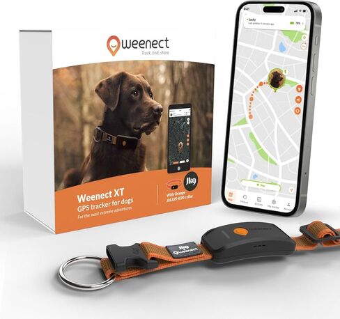 Weenect Dog XT - طوق GPS جديد للكلاب | هوائي XL | مقاوم للماء | طوق Julius-K9 المتكامل فائق المتانة | الاشتراك مطلوب in Kuwait