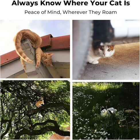 GPS Tracker for Cats, No Monthly Subscription Fee, Real-Time Tracking with Sound & Light Finding, 1500 FT Range, Waterproof Pet Locator Tracks Up to 3 Cats in Kuwait