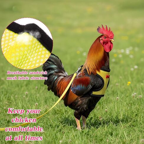 Upgraded Chicken Harness Leash, Chicken Leashes and Harnesses for Geese, Ducks, Geese, and Small Pets(Yellow) in Kuwait