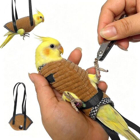 Parrot Bird Harness Leash with Cute Wing, Flying Harness Traction Rope for Budgerigar Lovebird, Outdoor Training Toy (Middle Brown) in Saudi Arabia