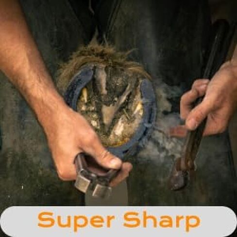 Hoof Knife Farrier Loop Oval Knife Horse Hoof Knife Rubber Wood Handle Multipurpose Cattle Horse Hoof Cutter in Kuwait