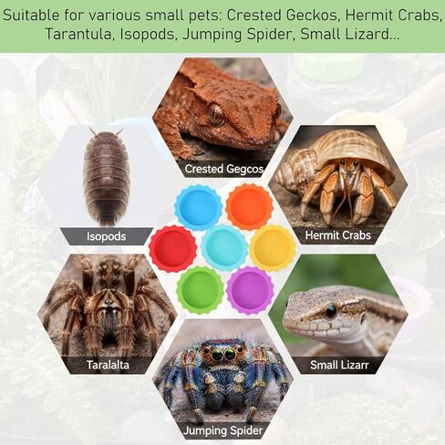 9 PCS Crested Gecko Food and Water Bowl Reusable Small Reptile Feeding Dish Gecko Tank Accessories for Hermit Crab Tarantula Isopods Lizard Easy Clean Silicone 7 Colors Includes Spoon in Kuwait