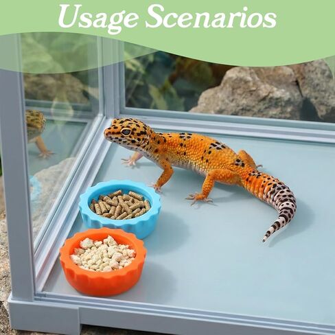 9 PCS Crested Gecko Food and Water Bowl Reusable Small Reptile Feeding Dish Gecko Tank Accessories for Hermit Crab Tarantula Isopods Lizard Easy Clean Silicone 7 Colors Includes Spoon in Kuwait