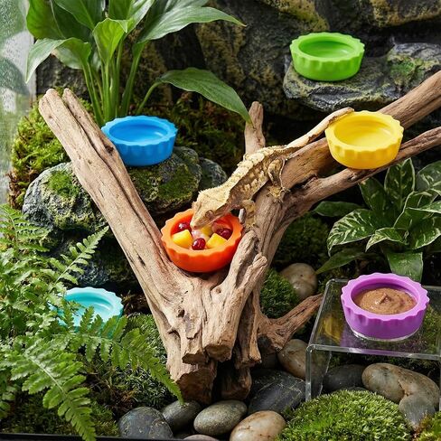 9 PCS Crested Gecko Food and Water Bowl Reusable Small Reptile Feeding Dish Gecko Tank Accessories for Hermit Crab Tarantula Isopods Lizard Easy Clean Silicone 7 Colors Includes Spoon in Kuwait