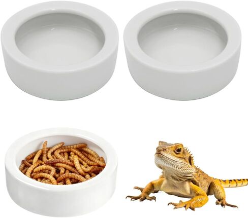 Escape-Proof Reptile Food Dish Bowl, Ceramic Reptile Feeding Dish & Small Animal Bowl for Lizard, Leopard Gecko, Hermit Crab, Hamster, Anti Escape Live Food & Water Dish (3x1in) 2PCS in Kuwait