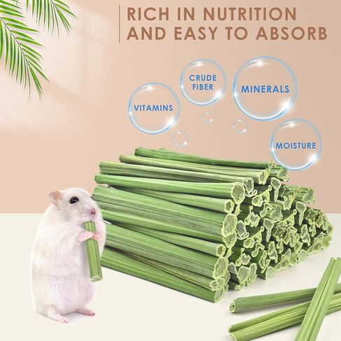 Bissap 100PCS Rabbit Chew Sticks, Natural Papaya Stems Bunny Chews Treats for Rabbits Hamsters Chinchillas Guinea Pigs Small Animals Organic Molar Chewing Snack in Kuwait
