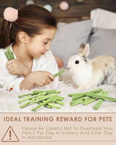 Bissap 100PCS Rabbit Chew Sticks, Natural Papaya Stems Bunny Chews Treats for Rabbits Hamsters Chinchillas Guinea Pigs Small Animals Organic Molar Chewing Snack in Kuwait