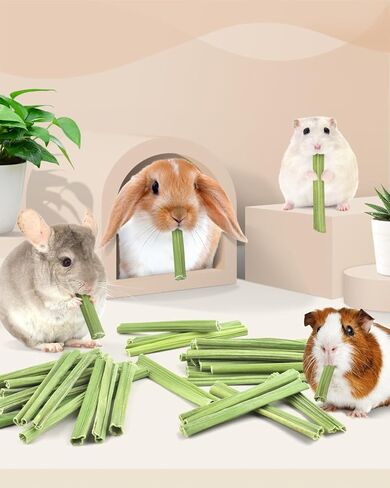 Bissap 100PCS Rabbit Chew Sticks, Natural Papaya Stems Bunny Chews Treats for Rabbits Hamsters Chinchillas Guinea Pigs Small Animals Organic Molar Chewing Snack in Kuwait
