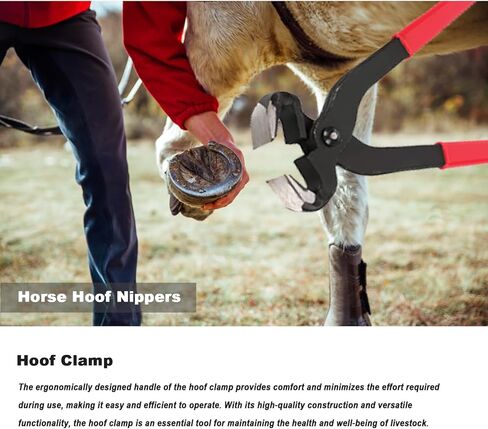 14 Inch Farrier Tools, Professional Farrier Tool Kits Horses Hoof Trimmers Suitable for Hoof Trimming for Horses Cows, Sheep, Donkeys and Other Medium Sized Animals Rasp Hoof Cutter Set in Kuwait