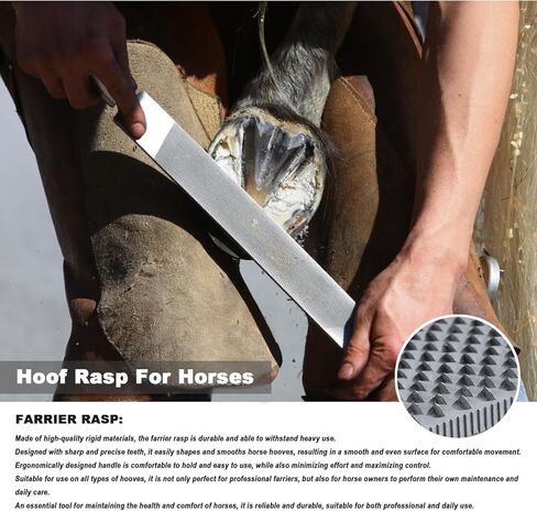 14 Inch Farrier Tools, Professional Farrier Tool Kits Horses Hoof Trimmers Suitable for Hoof Trimming for Horses Cows, Sheep, Donkeys and Other Medium Sized Animals Rasp Hoof Cutter Set in Kuwait