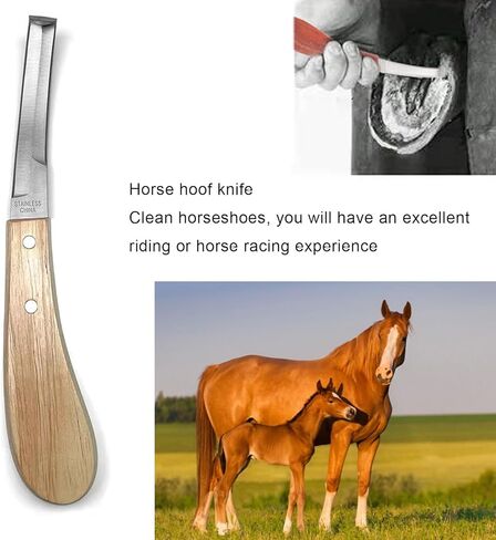 14 Inch Farrier Tools, Professional Farrier Tool Kits Horses Hoof Trimmers Suitable for Hoof Trimming for Horses Cows, Sheep, Donkeys and Other Medium Sized Animals Rasp Hoof Cutter Set in Kuwait